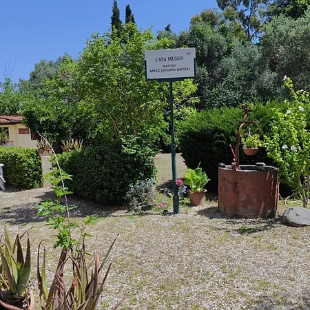 Il Pineto